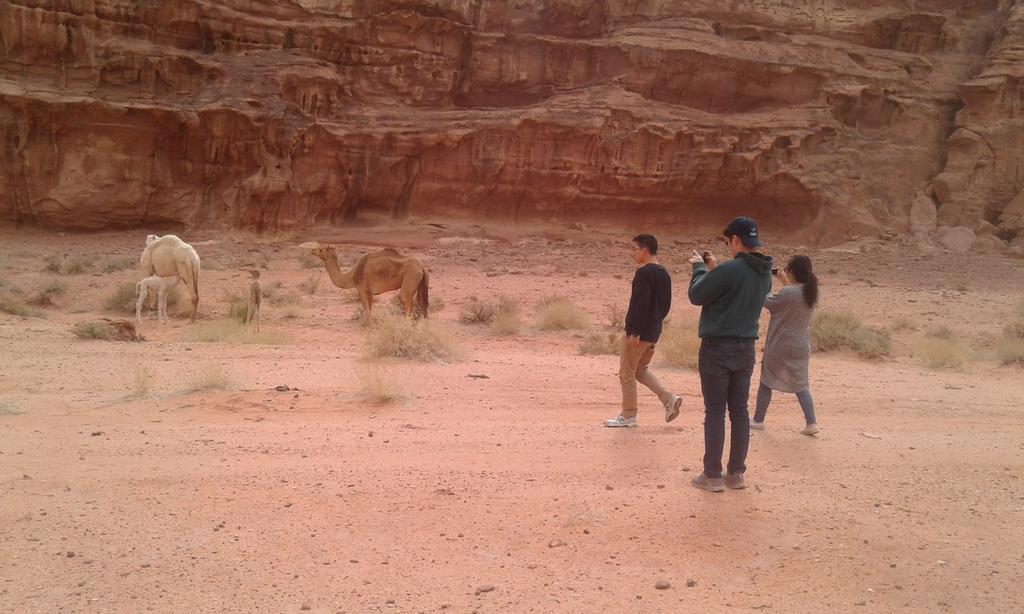 Wadi Rum Light Camp Bagian luar foto