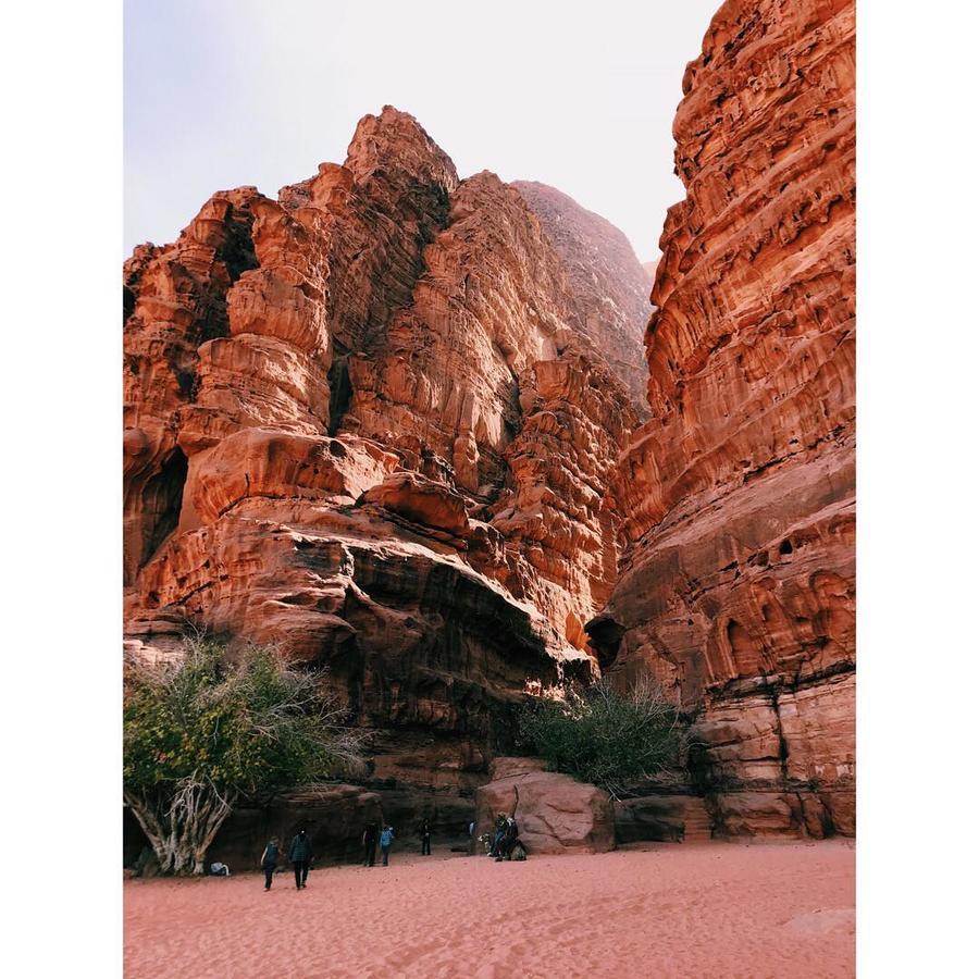 Wadi Rum Light Camp Bagian luar foto